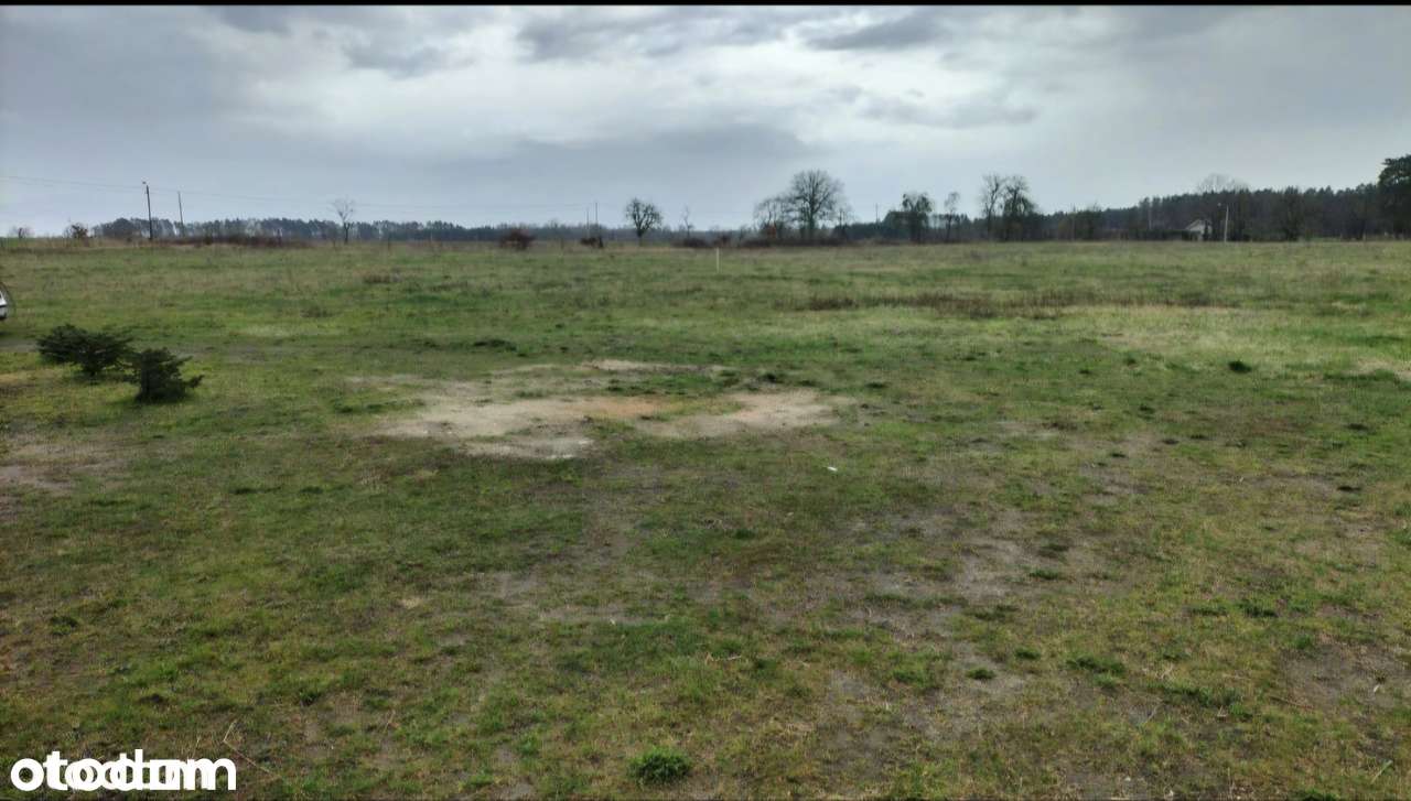 Działka budowl. 1000 m²Tarnów gm. Lubiszyn–cicha okolica,lasy i łąki - Pełny obrazek: 3/3