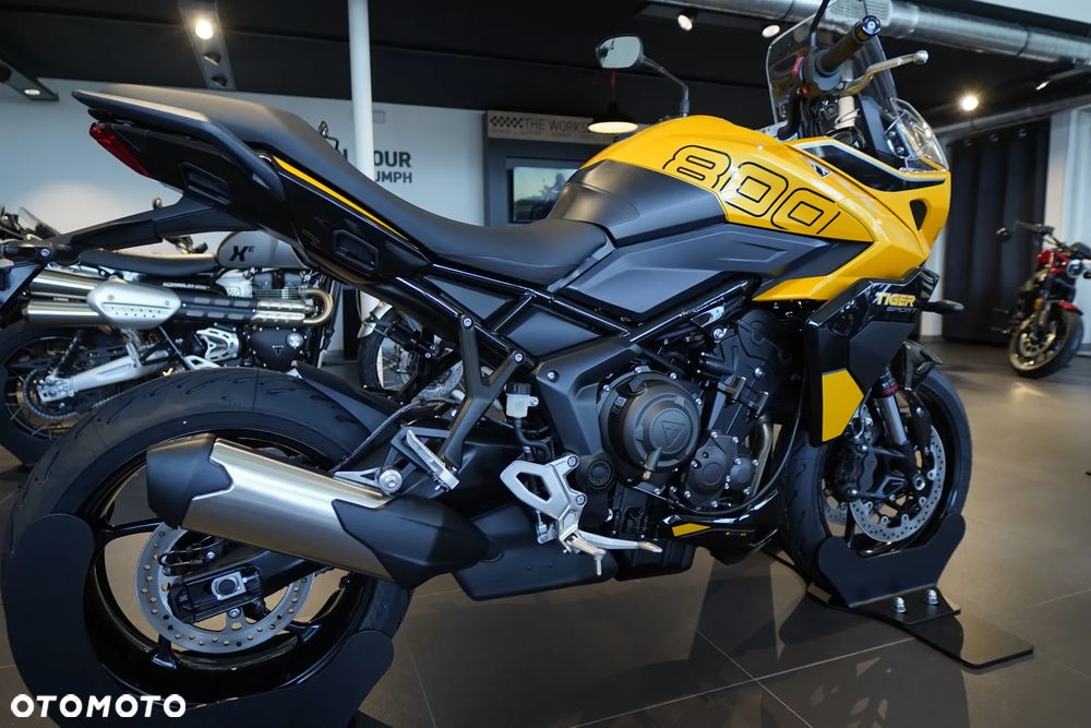 Triumph Tiger - 3