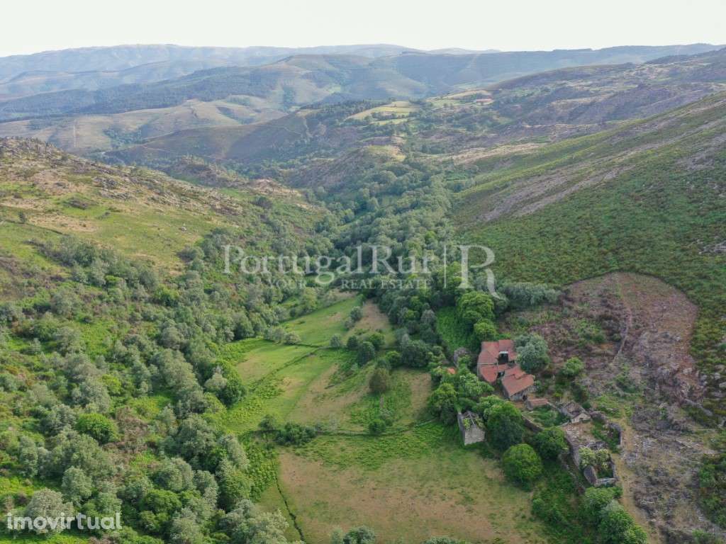 Aldeia Transmontana composta por 22 casas com 63 hectares - Grande imagem: 3/60