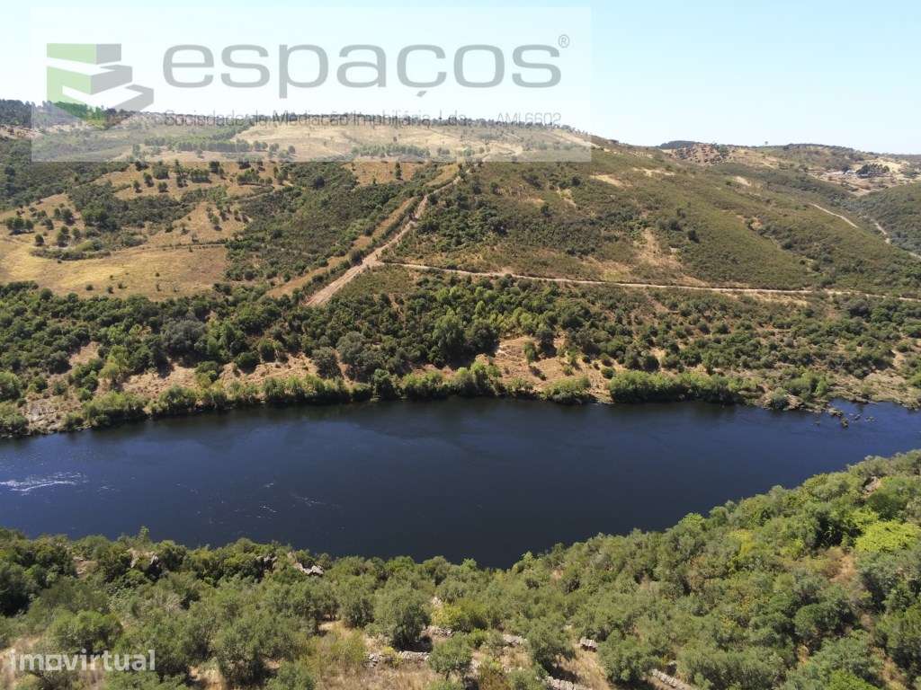 Quinta Rustica junto ao Rio Tejo - Grande imagem: 5/22