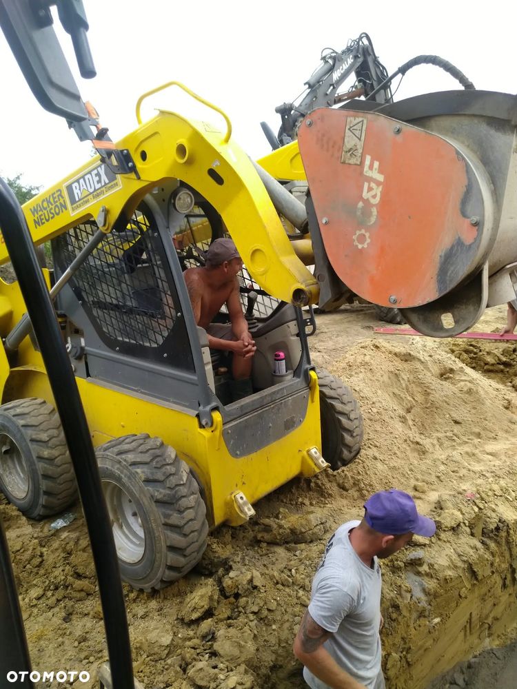 Bobcat - 7