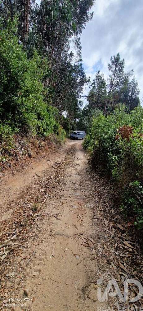Terreno em Azueira e Sobral da Abelheira de 18259,00 m2 - Grande imagem: 3/23