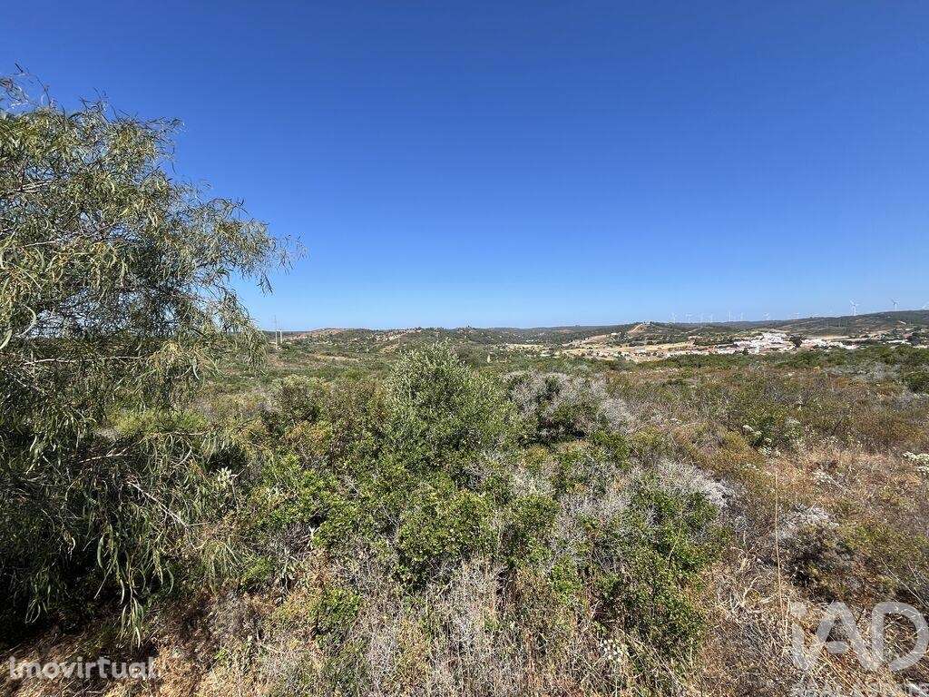 Terreno em Barão de São Miguel - Grande imagem: 5/6