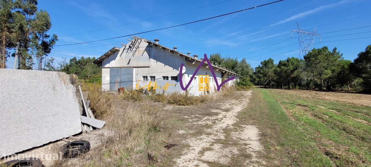Armazém - Grande imagem: 2/16