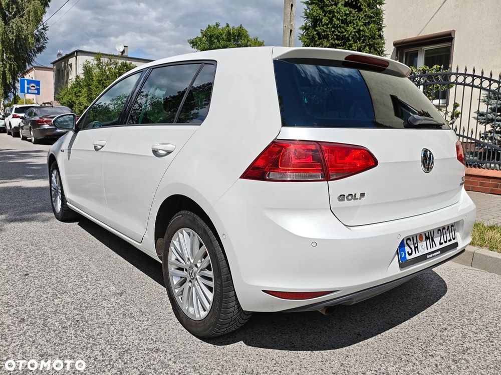 Volkswagen Golf 1.6 TDI BlueMotion Technology Cup - 16