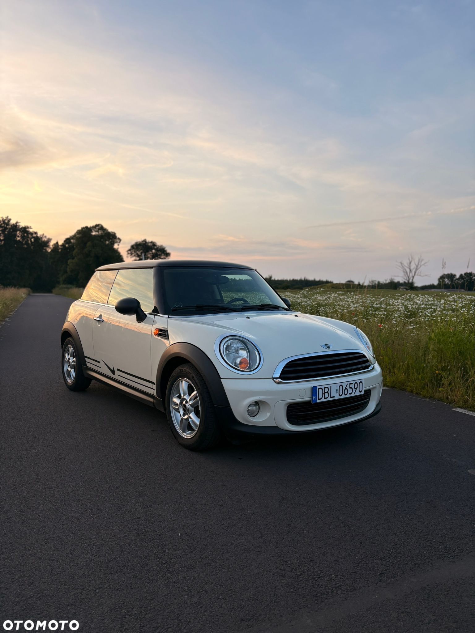 MINI ONE Standard - 1