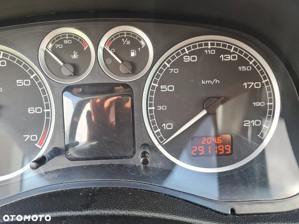 Peugeot 307 1.6 - 10