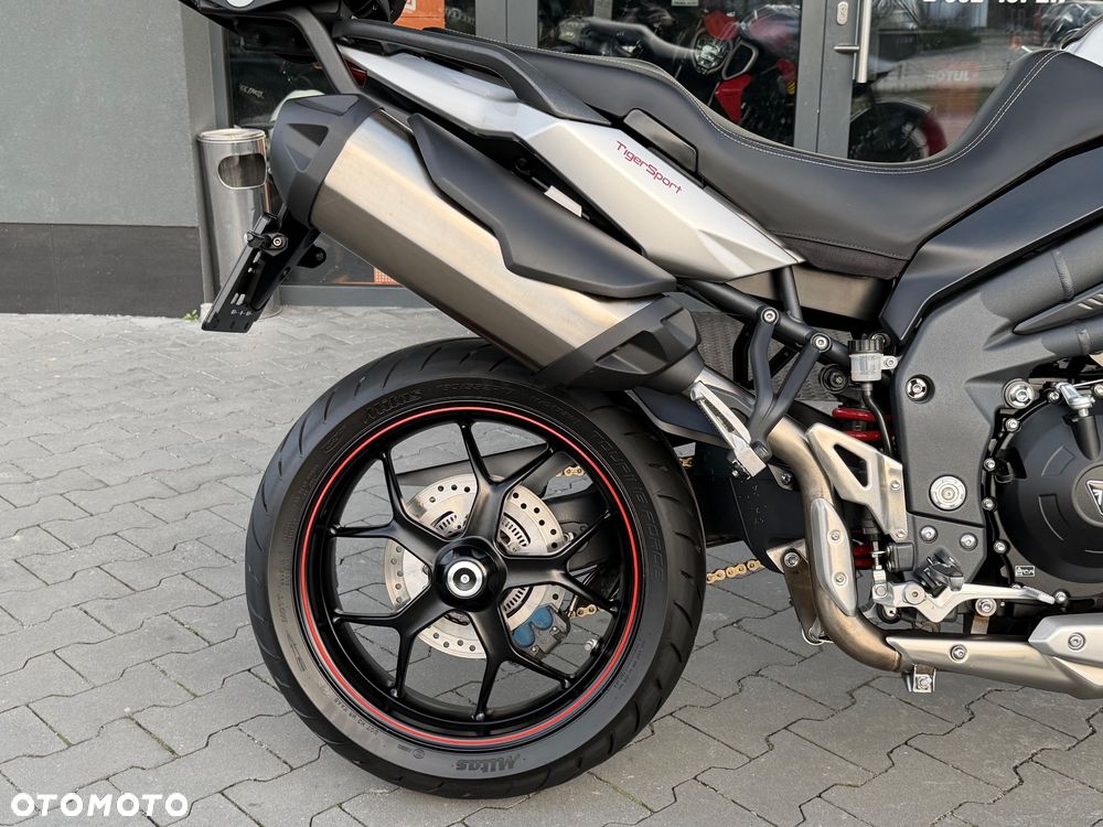 Triumph Tiger - 6