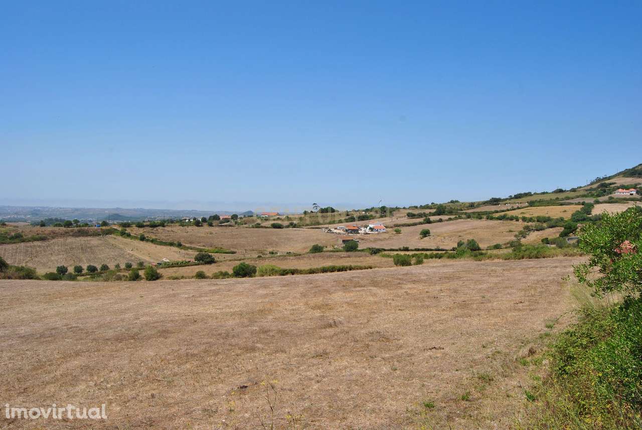 Terreno para construção em Avessada - Sto Estevão das Galés - Grande imagem: 4/18