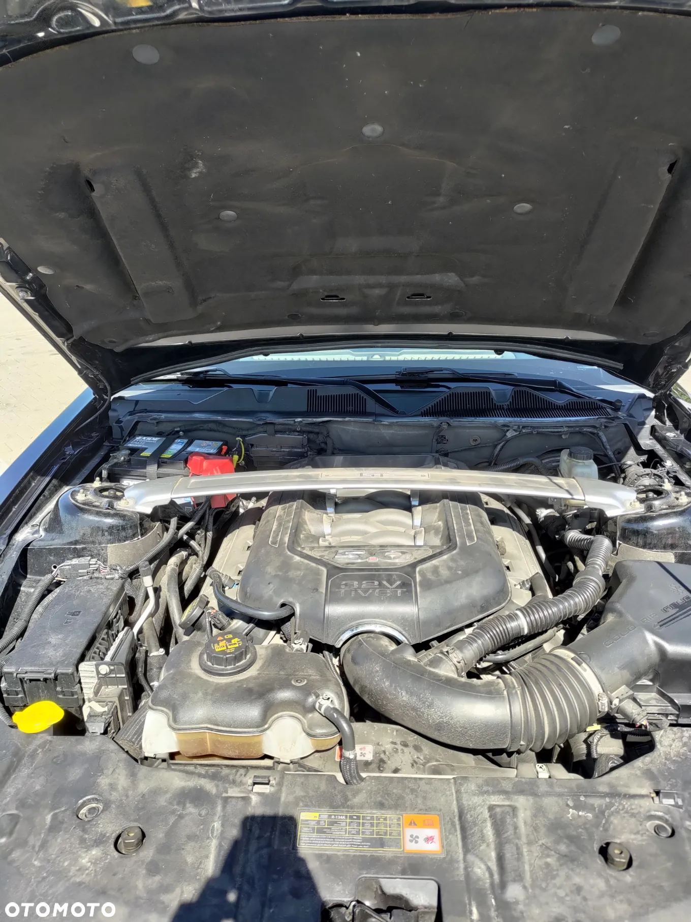 Ford Mustang 5.0 Ti-VCT V8 GT - 31