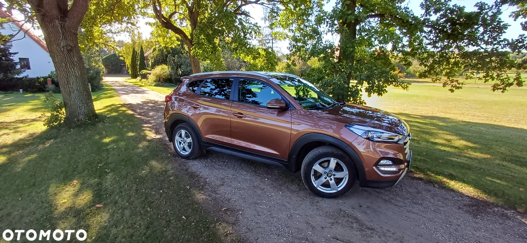 Hyundai Tucson 1.6 GDI BlueDrive Comfort 2WD - 15