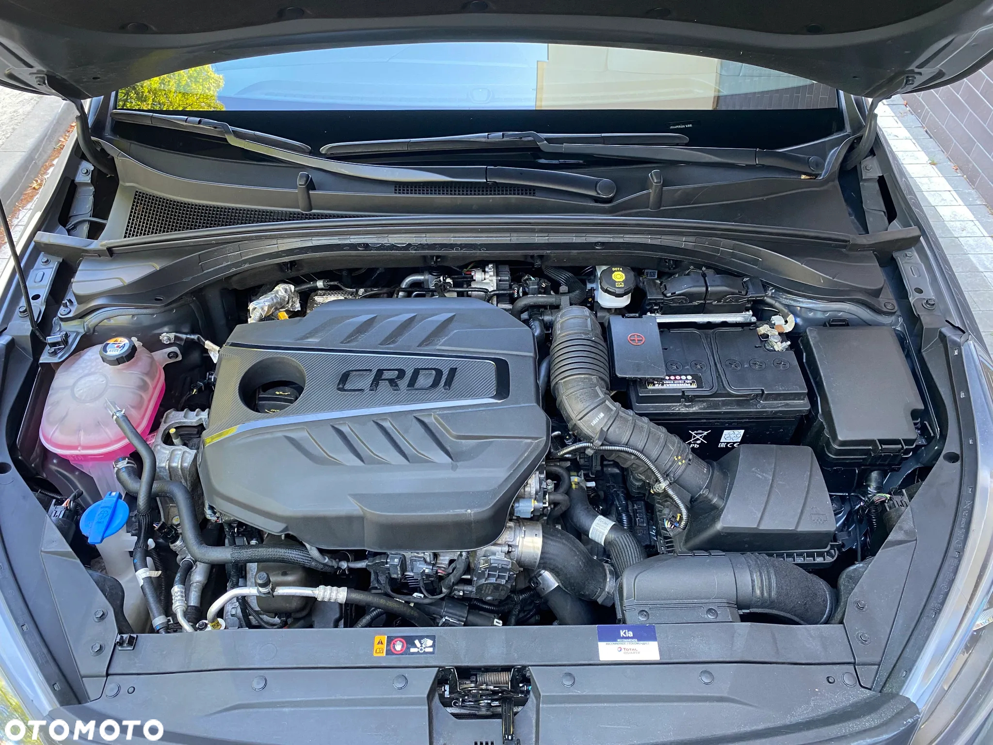 Kia Ceed - 40