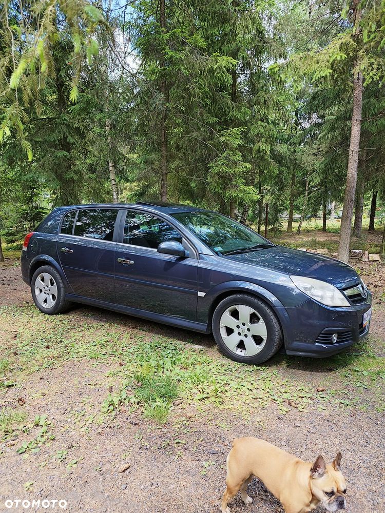 Opel Signum 1.9 CDTI Elegance - 7