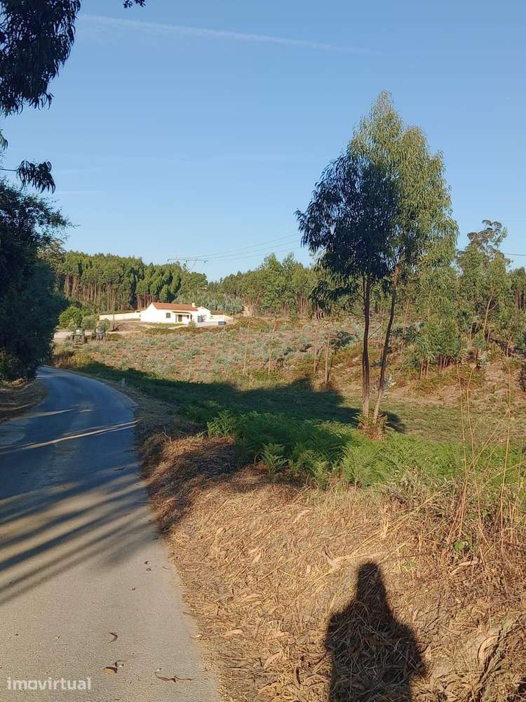 Terreno com projecto aprovado, no Cidral, em Rio Maior - Grande imagem: 3/10