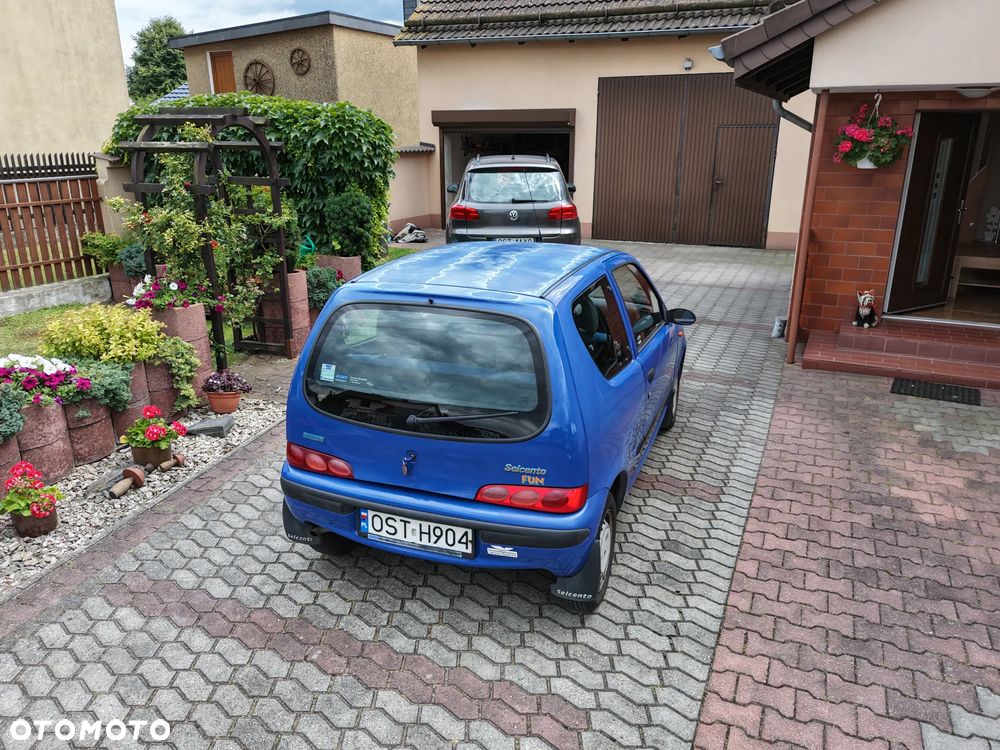 Fiat Seicento Fun / Olimpia - 4