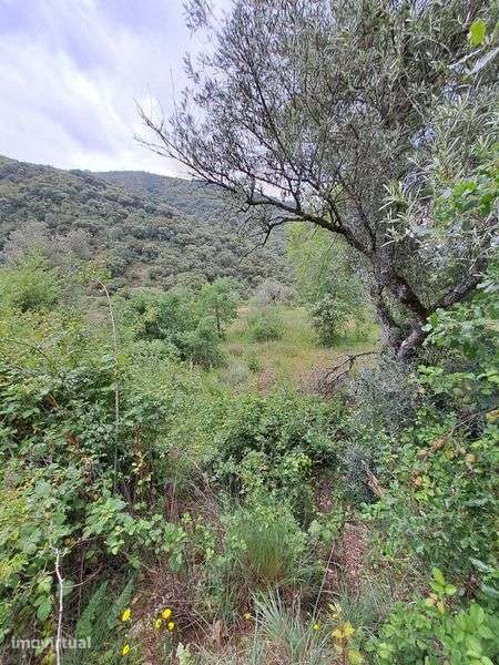 Venda de terreno com 2 600 m2 em Babe - Bragança - Grande imagem: 5/10