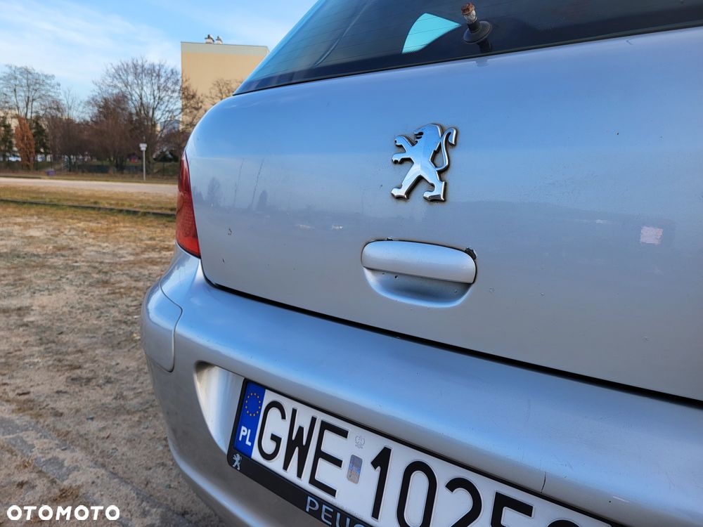 Peugeot 307 - 12