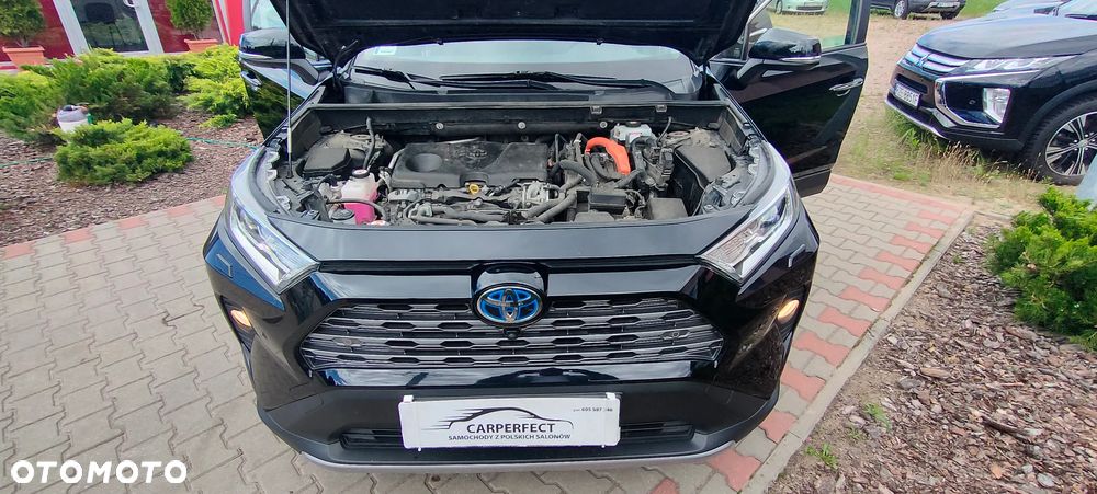 Toyota RAV4 Hybrid Prestige 4x4 - 29