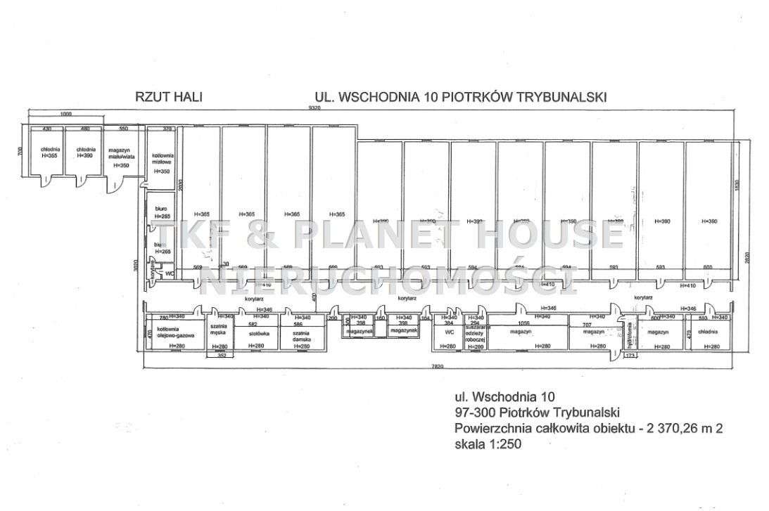 Hala na wynajem 2370 m2 Piotrków Tryb. - Pełny obrazek: 2/9