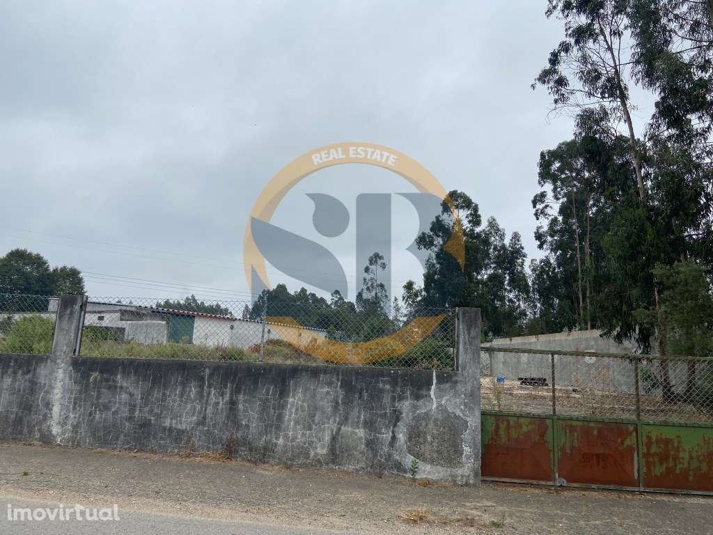 Armazém Oliveira de Azeméis - Grande imagem: 3/4