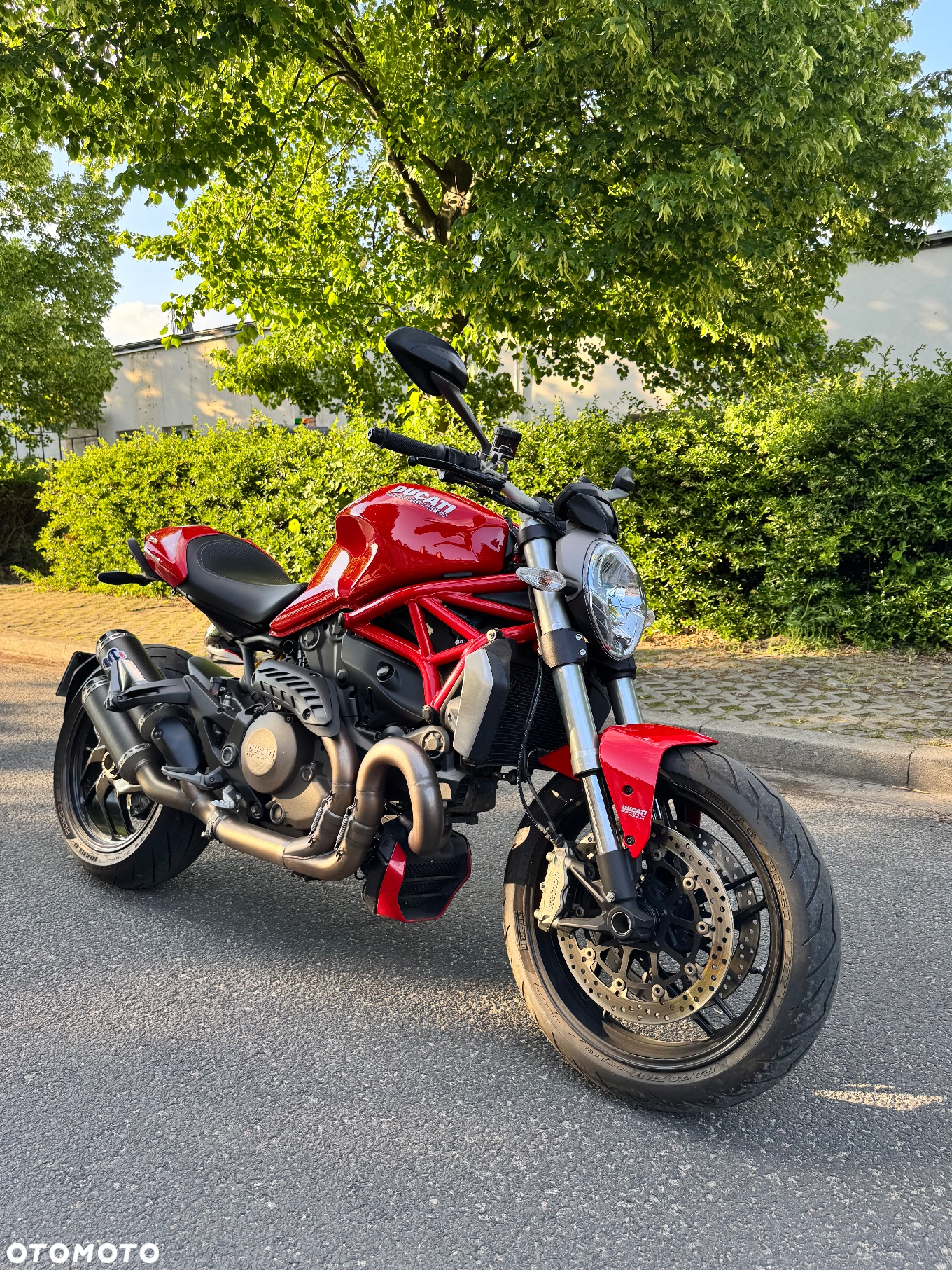 Ducati Monster - 11