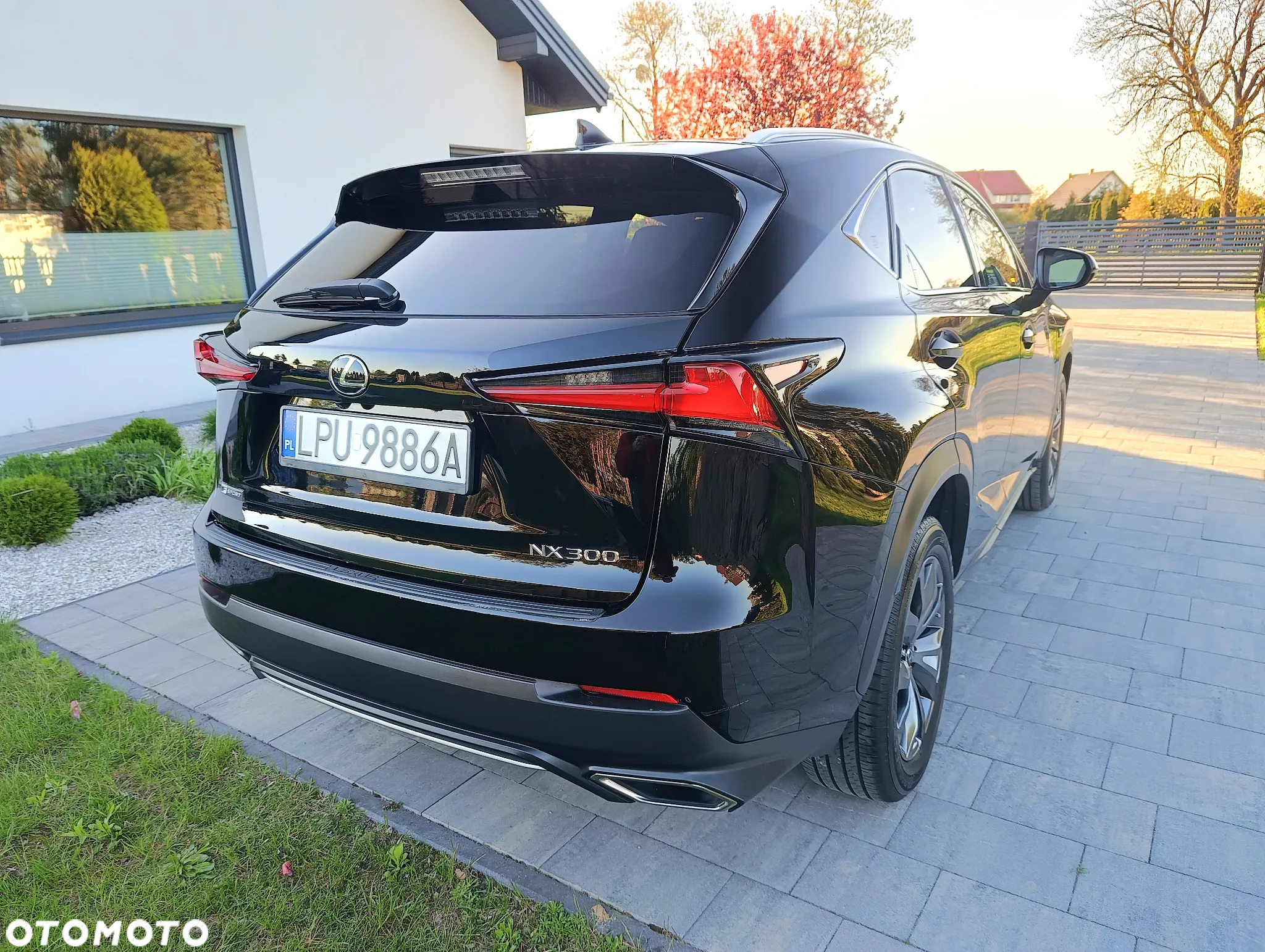 Lexus NX - 11