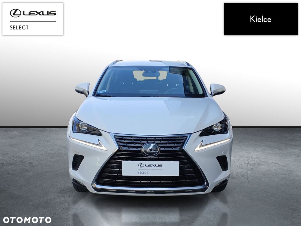Lexus NX - 8