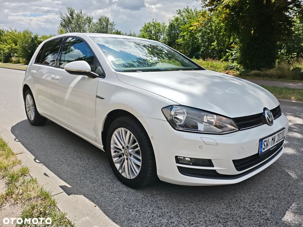Volkswagen Golf 1.6 TDI BlueMotion Technology Cup - 14