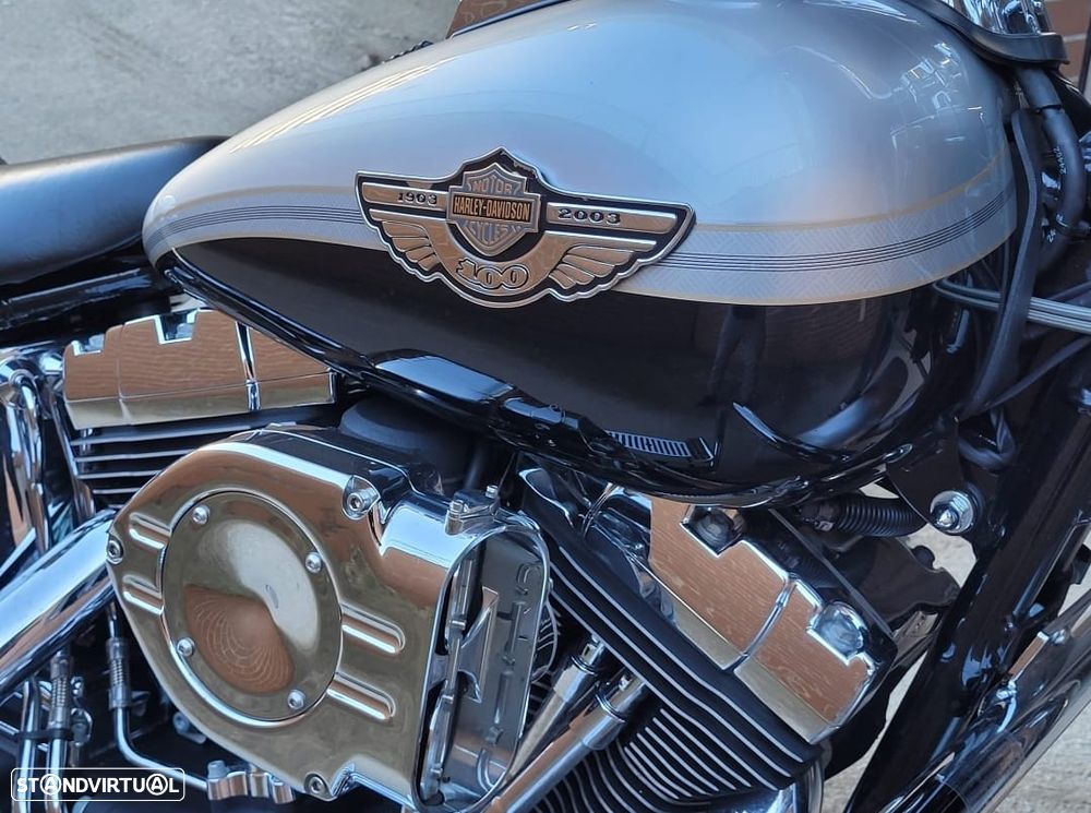 Harley-Davidson Fat Boy CENTENÁRIA Carburador - 9