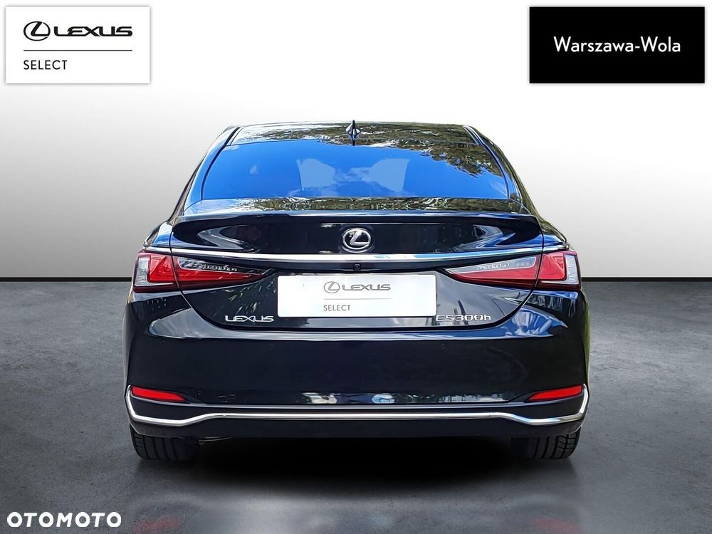 Lexus ES 300h Omotenashi - 6
