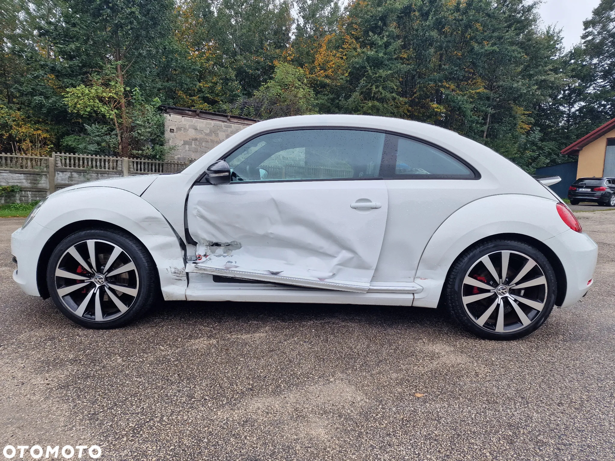 Volkswagen Beetle - 8