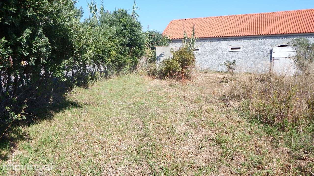 Quinta com Adega | 37.500 m² | Atouguia da Baleia, Peniche - Grande imagem: 5/22