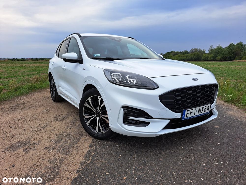 Ford Kuga 2020 photo 2