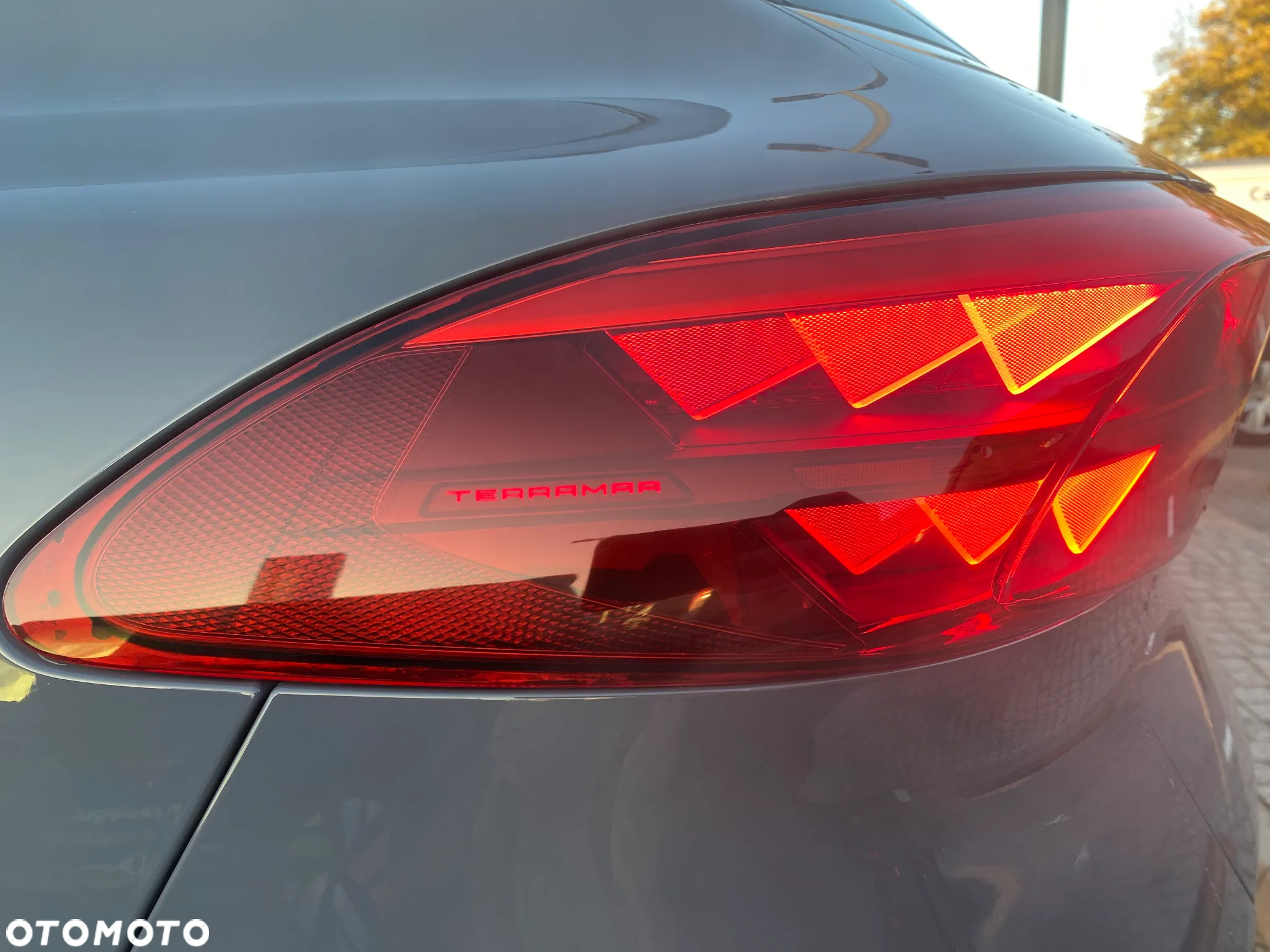 Cupra Terramar 2.0 TSI 4Drive Advantage Edition DCC DSG - 14