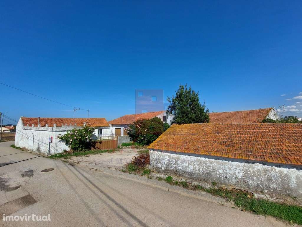 Moradia em Bárrio, Alcobaça (Costa de Prata) - Grande imagem: 3/25