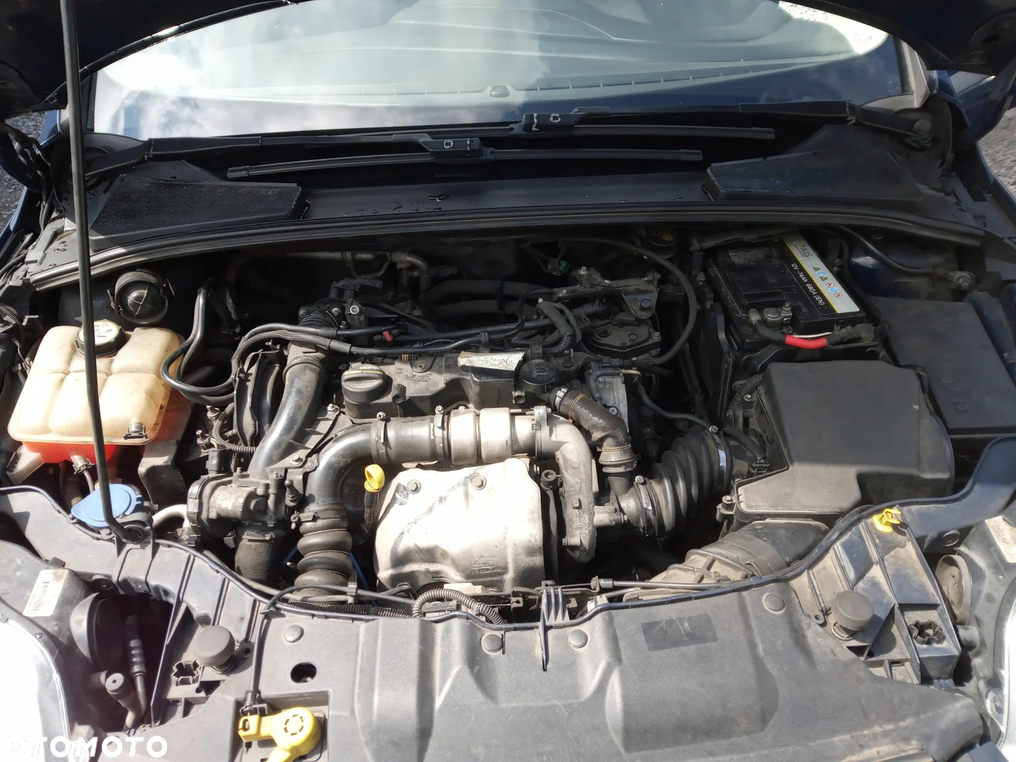 Ford Focus 1.6 TDCi Ambiente - 15