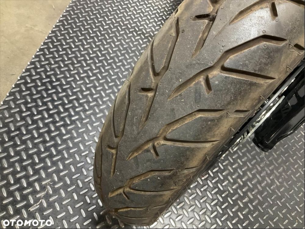 Indian Scout - 11