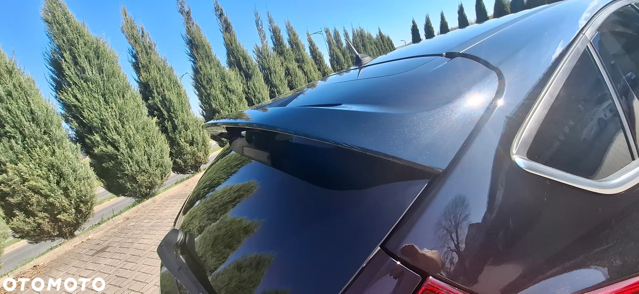 Ford Focus 1.6 TDCi DPF Titanium - 15