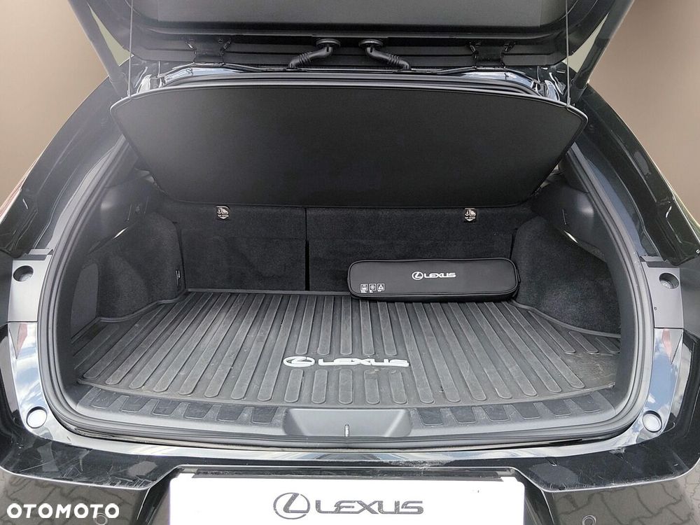 Lexus UX 250h GPF F Sport Design 2WD - 23