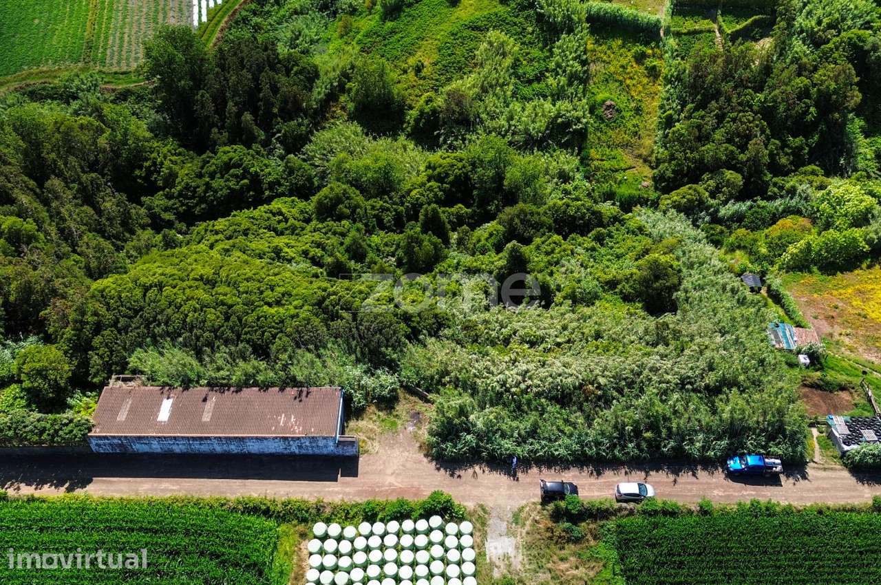 Terreno Rústico, 1/2 de 10.380 m² – Lomba de São Pedro - Grande imagem: 2/15