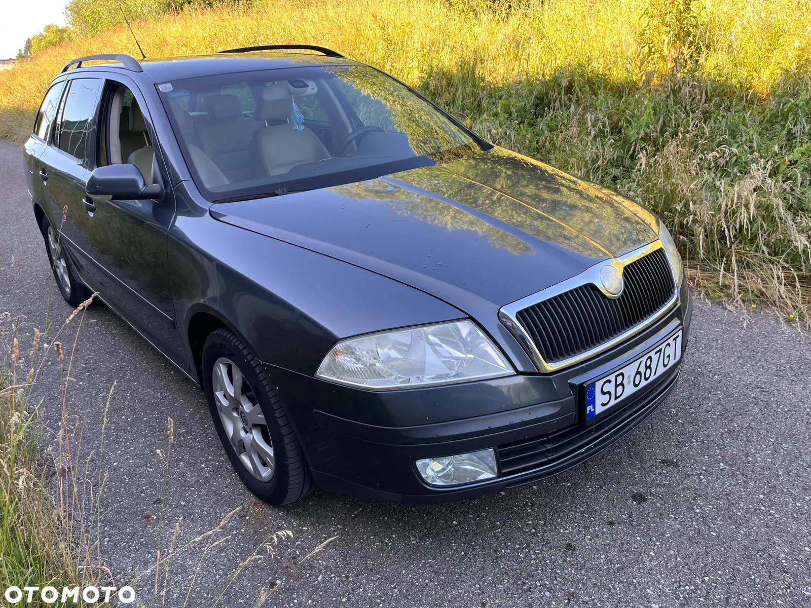 Skoda Octavia Combi 1.9 TDI DSG Elegance - 2