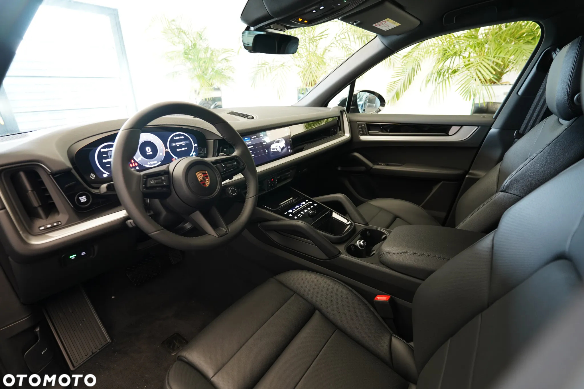 Porsche Cayenne Standard - 9