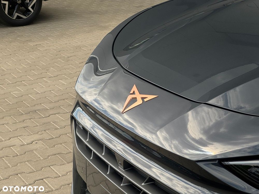 Cupra Terramar - 6