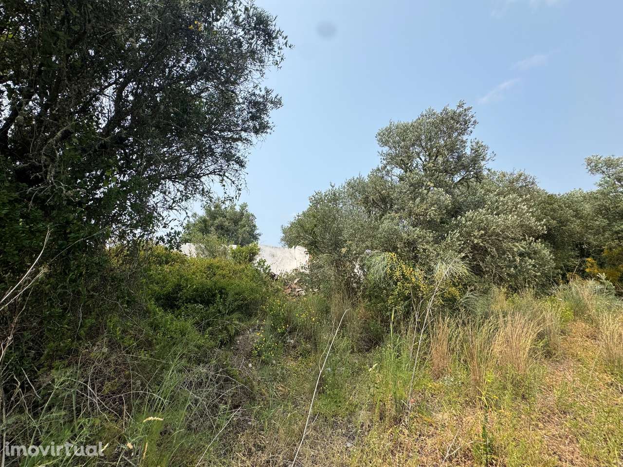 Moradia para Restaurar T4 Venda em Montargil,Ponte de Sor - Grande imagem: 4/30