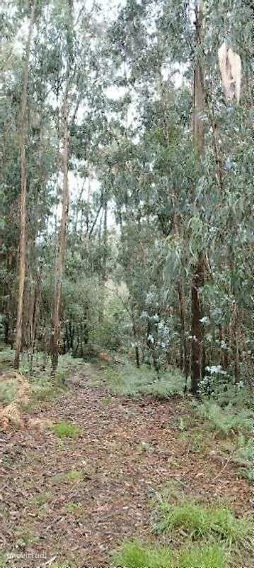 Terreno  para venda - Grande imagem: 2/12