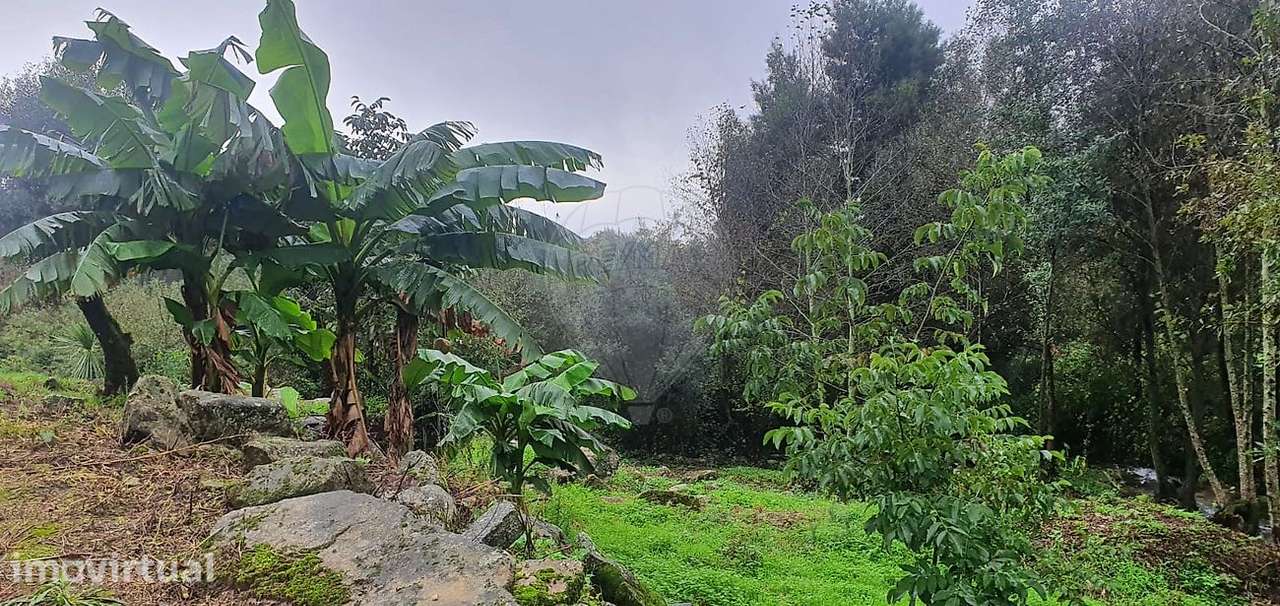 Terreno  para venda - Grande imagem: 2/18