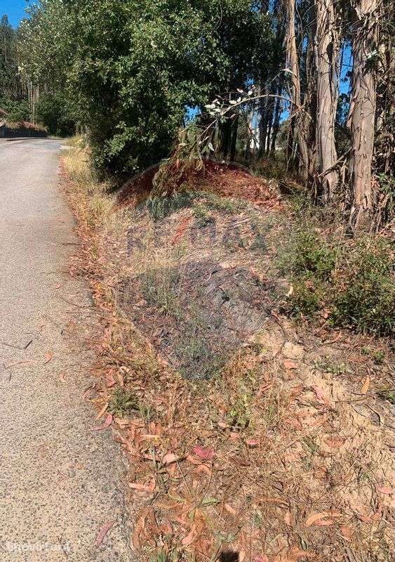 Terreno  para venda - Grande imagem: 2/5