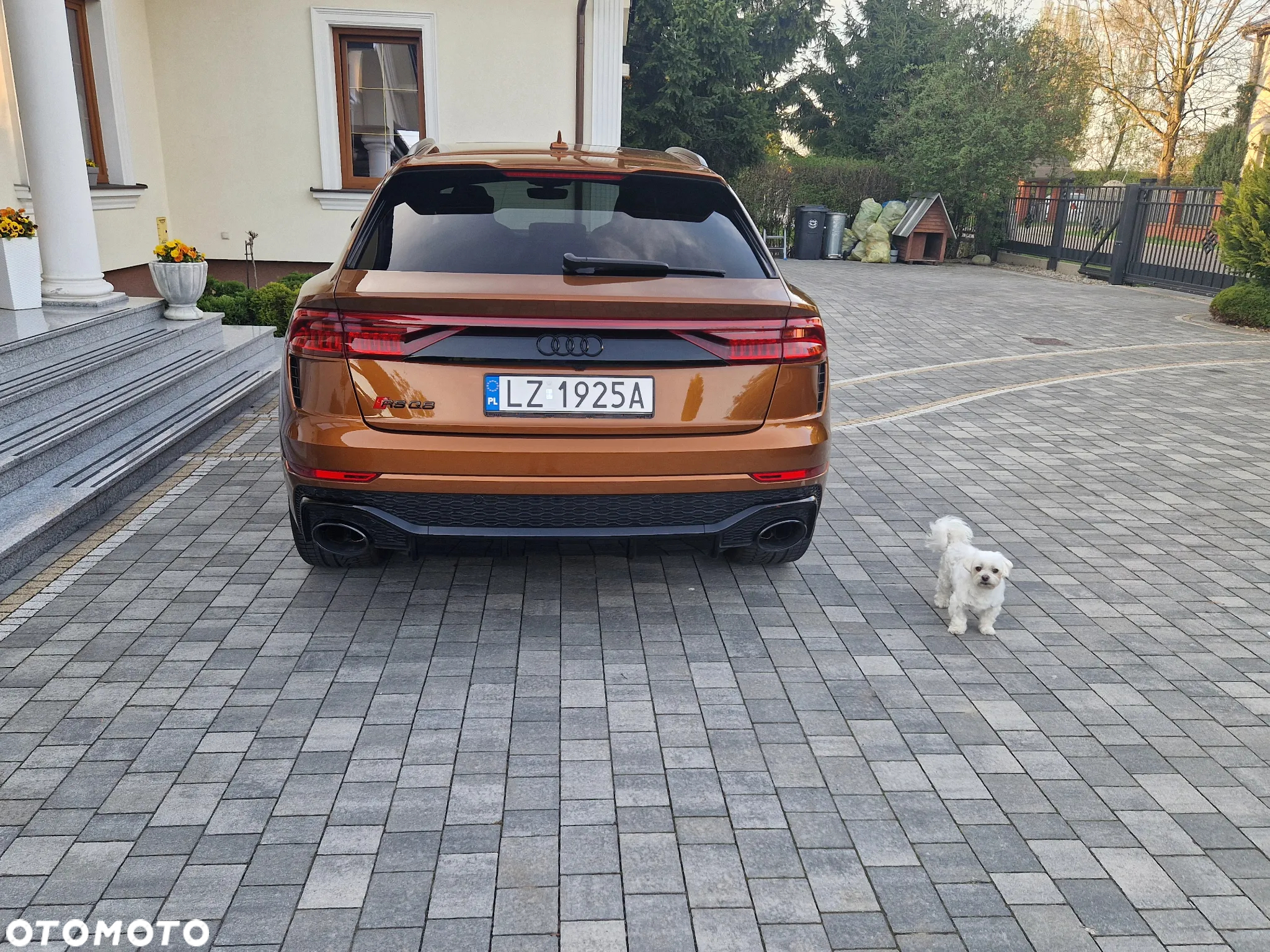 Audi RS Q8 - 10