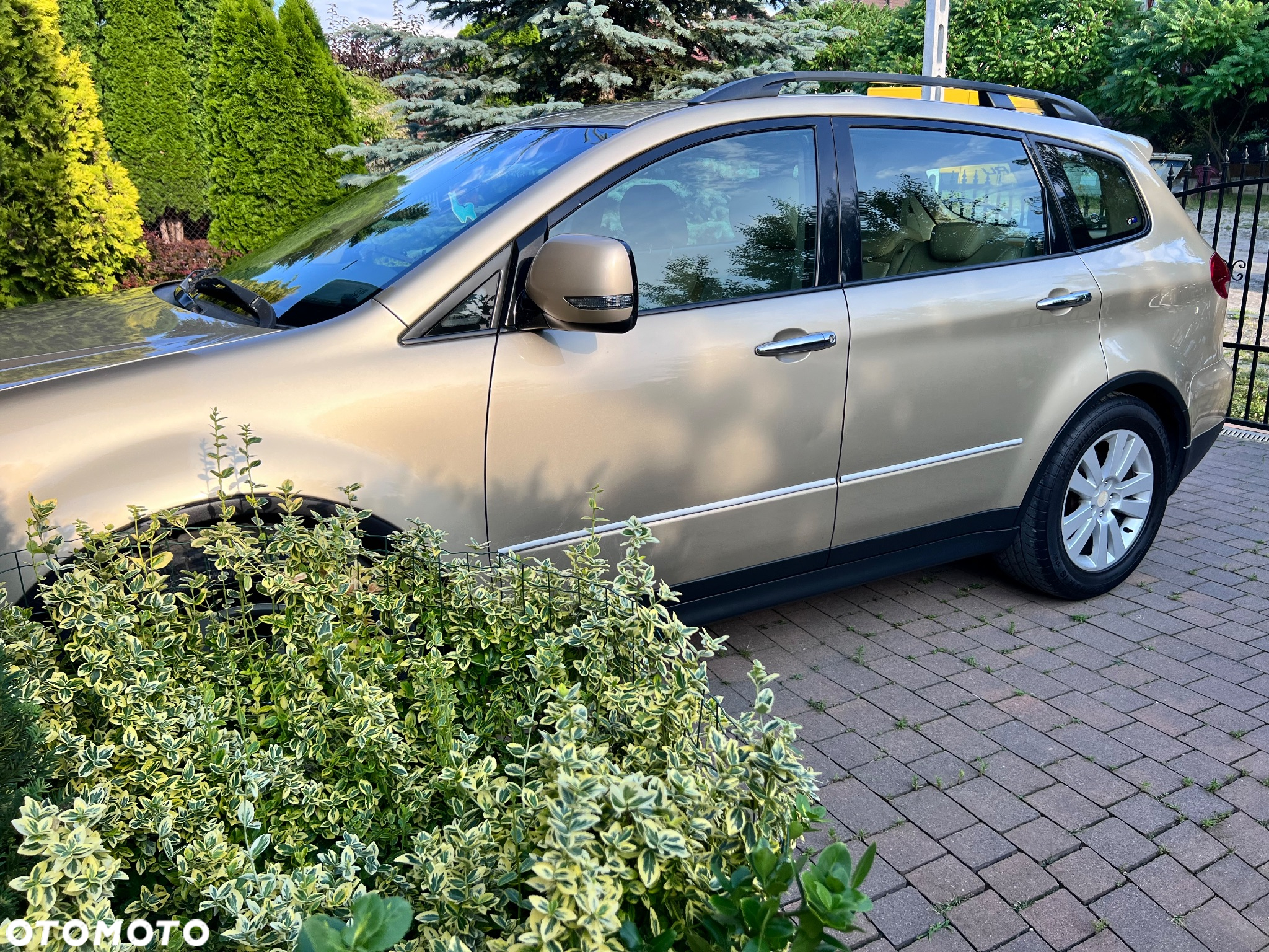 Subaru B9 Tribeca - 14