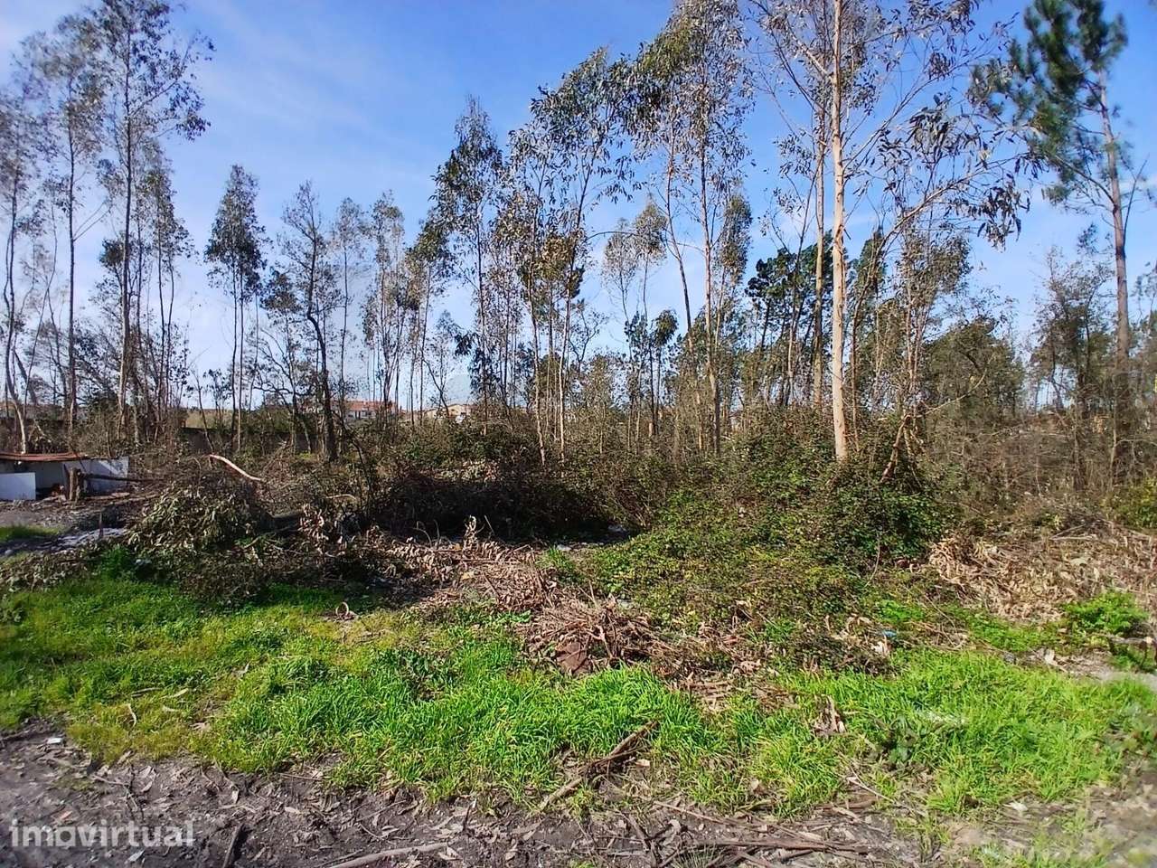 Terreno com 10.712 m2 – Embra, Marinha Grande - Grande imagem: 2/29